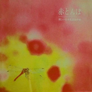 《红蜻蜓》日本民歌